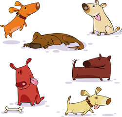Vector set of fuuny dog