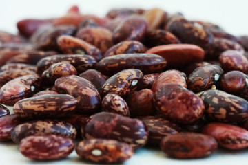 kidney bean