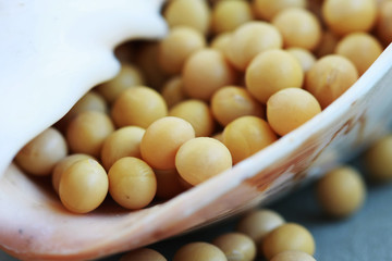 soya in the shell