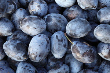 Plums