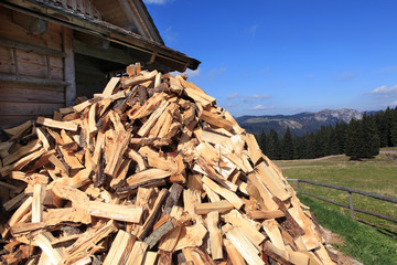 Holz vor der Hütte - firewood near the hut