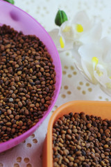 fenugreek