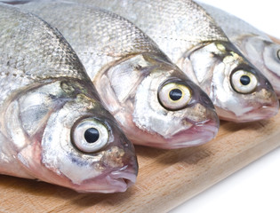 Row of fresh fish