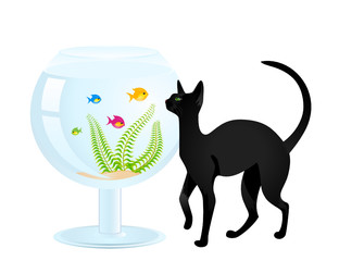 The cat plays with a small fish in an aquarium