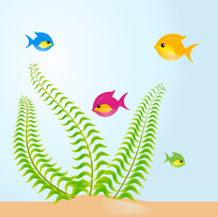 fish in an aquarium a white background for design