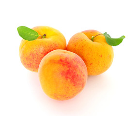 apricots