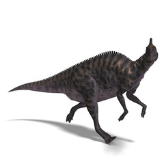 Obraz na płótnie Canvas Dinosaur Saurolophus