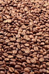 Coffee beans.