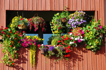 Fototapeta na wymiar Flowers on a balcony at a Alpine House in the French Alps