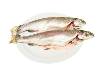 Two Trout