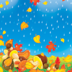 Obraz na płótnie Canvas Mushrooms in the rain