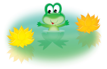 Green frog and water lily