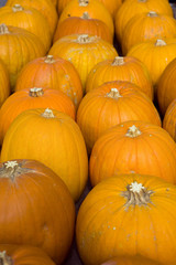 Sagra della zucca di Piozzo (Cn)