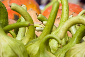 Sagra della zucca di Piozzo (Cn)