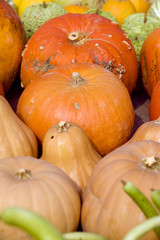 Sagra della zucca di Piozzo (Cn)