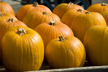 Sagra della zucca di Piozzo (Cn)
