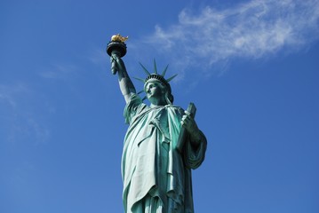 Fototapeta premium Liberty Landscape 1