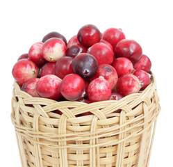 cranberry
