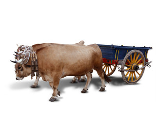Carro bueyes