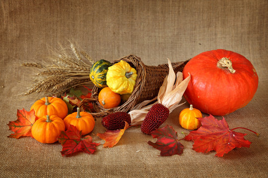 Cornucopia with pumpkins on brown background