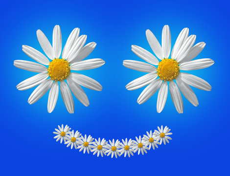 Fototapeta Smiling marguerite