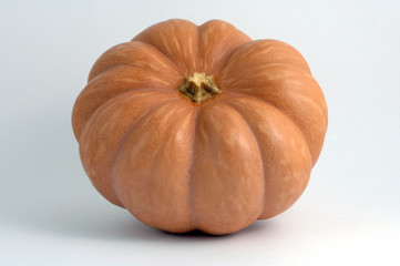 zucca