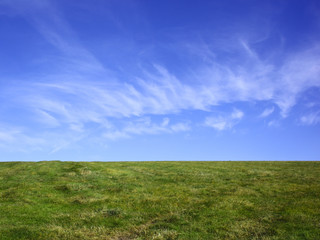 hayfield and blue sky