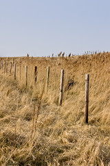 Dünen und Strand, Cuxhaven