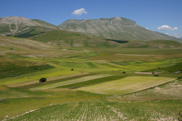 Castelluccio di Norcia - Umbria