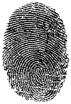 Empreinte Digitale - Fingerprint