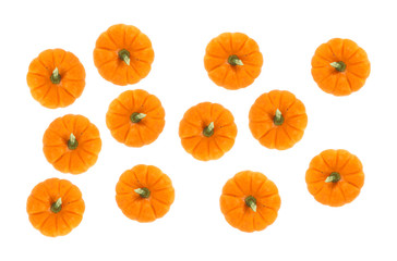 A top view of several small pie pumpkins
