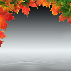 Maple Leaf Abstract Design