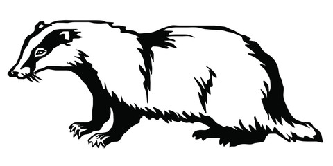 badger