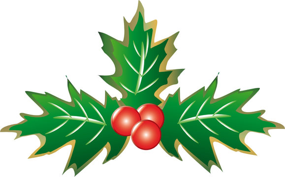 vischio
