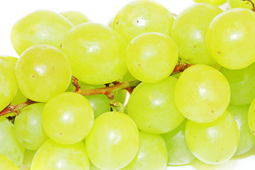 Grapes isolated on white