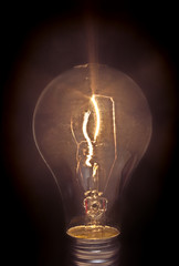 Light Bulb on Black