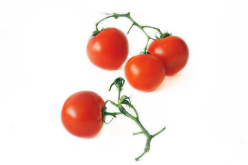 Red tomatoes
