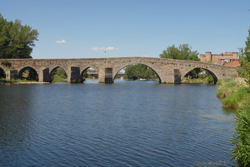 Fototapeta na wymiar Puente románico del siglo XIV