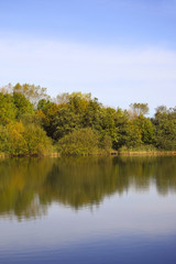 Fototapeta na wymiar water side trees in autumn