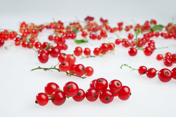 redcurrants on white background
