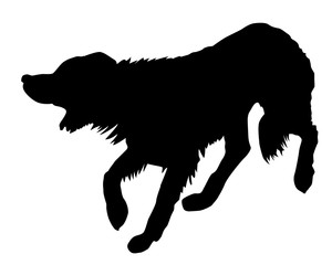 illustration of the rambling dog on white background