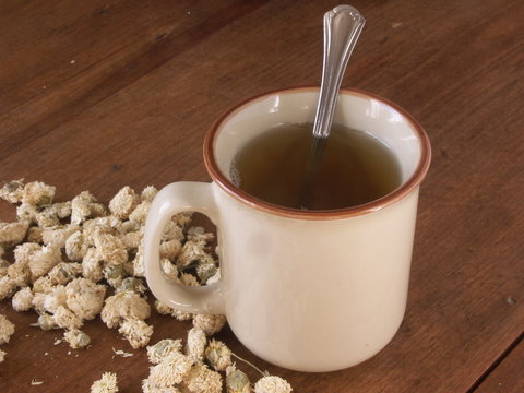 tisane de camomille