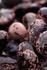 Details von steirischen Käferbohnen