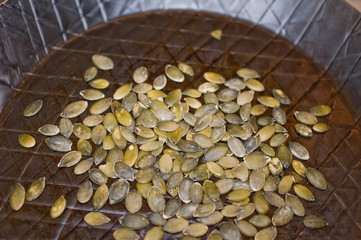 pumpkin seed