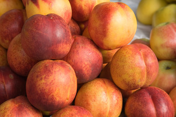 Nectarines