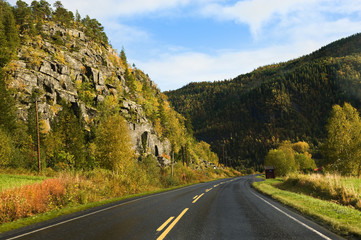 scandinavian road