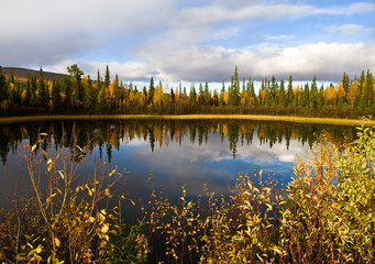 Fototapeta premium rural sweden