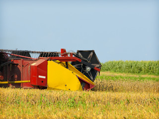 A combine harvester working in a wheat field