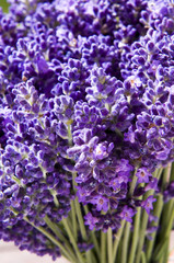 Bunch of lavender