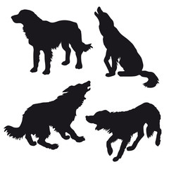 silhouette of the dog on white background